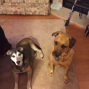 Meet your Posher, Sue